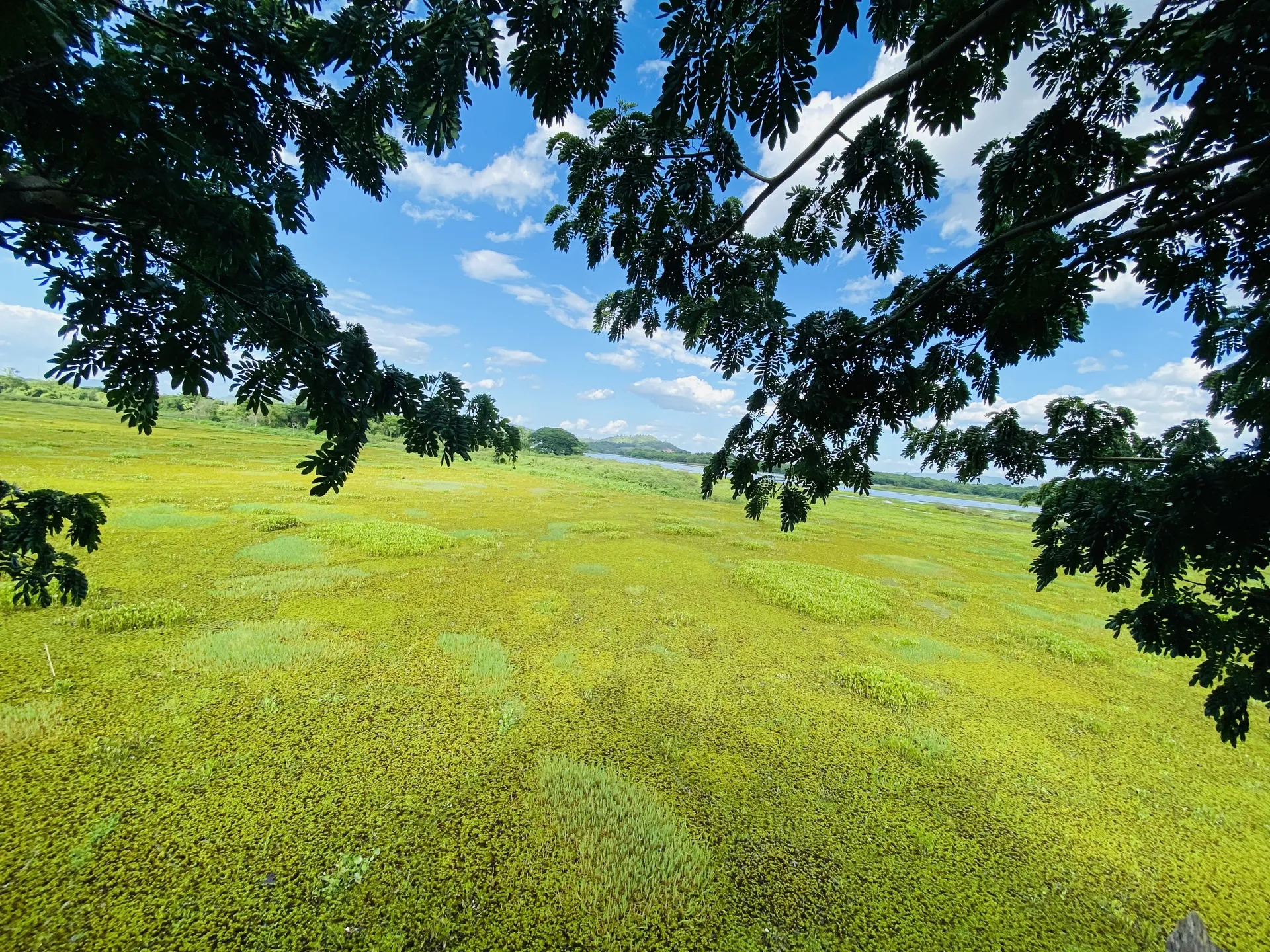 ไม่เล็กนะครับ ขอบอกใว้เลย OnlyFans header