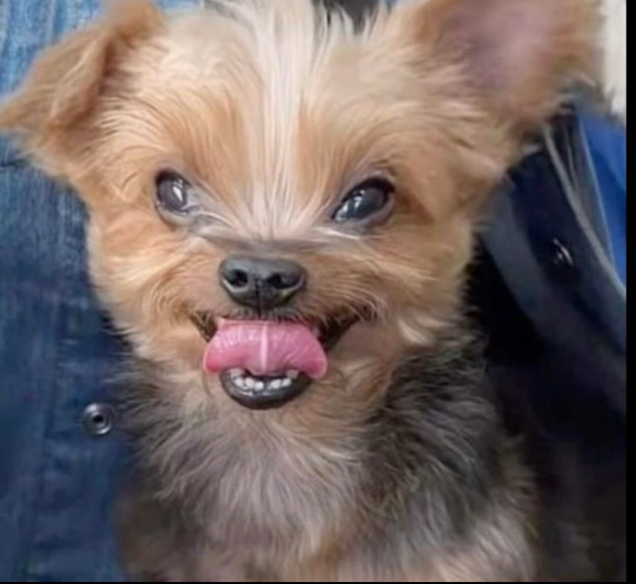 Foreplaya83 OnlyFans