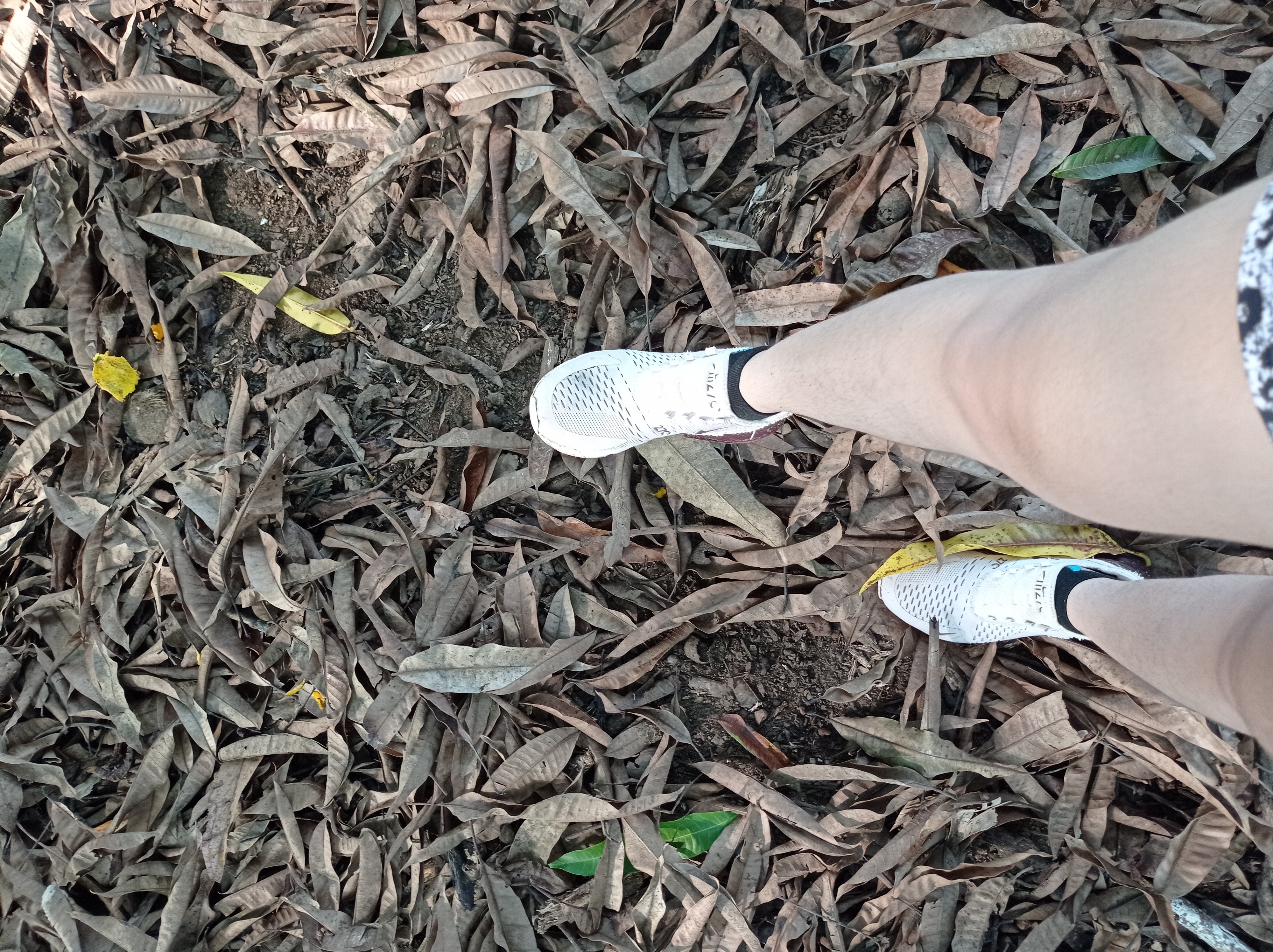 Forero OnlyFans header