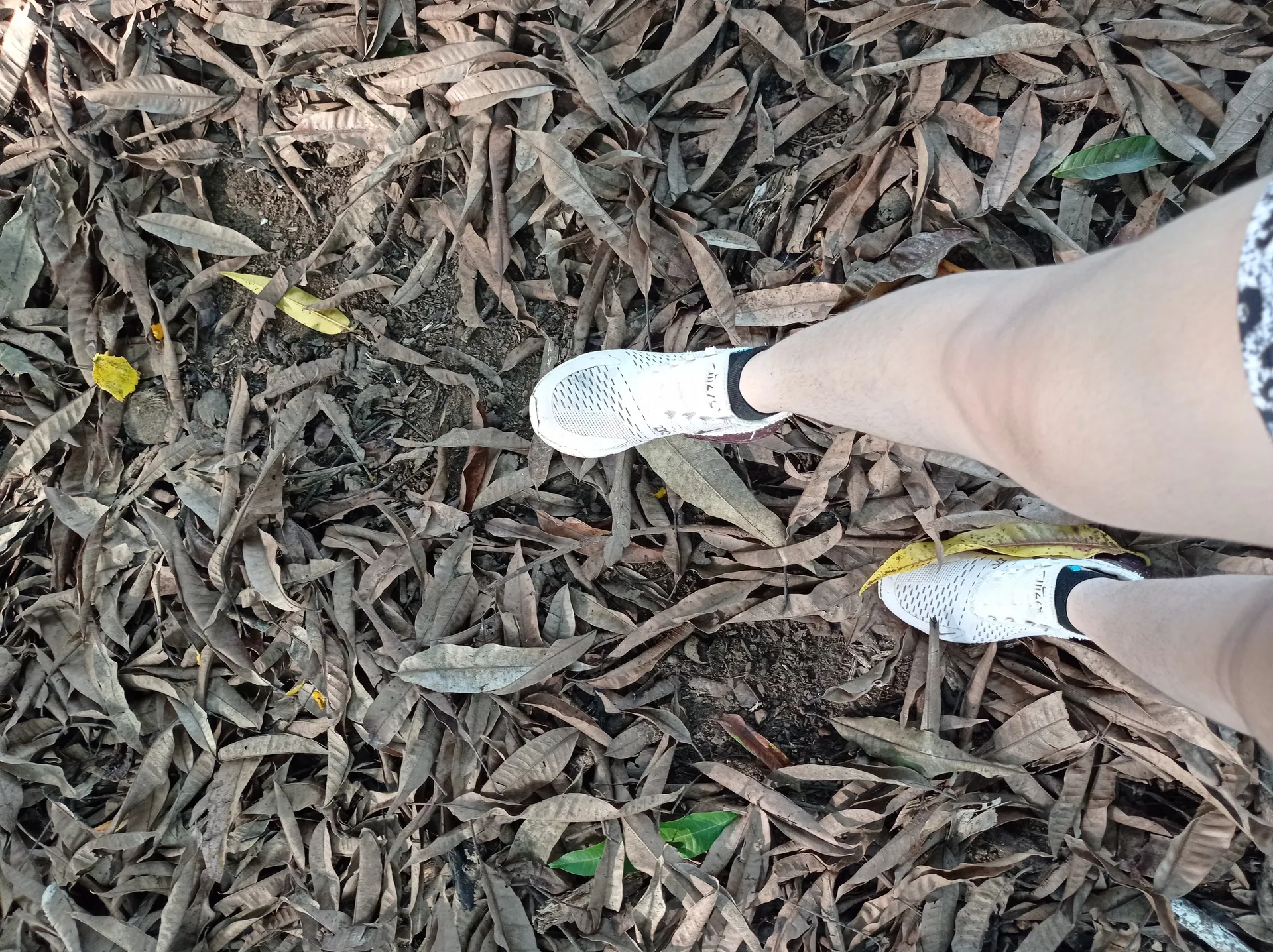 Forero OnlyFans header