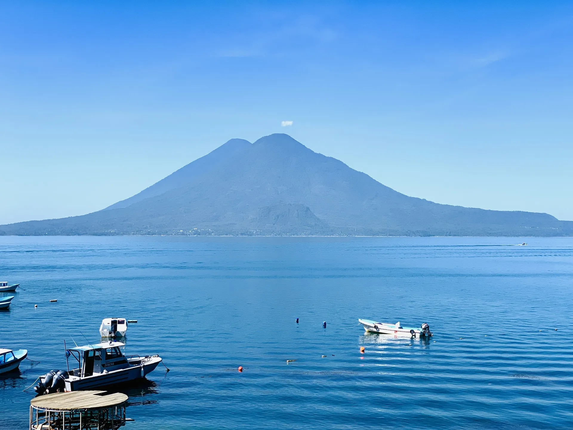 Forest OnlyFans header