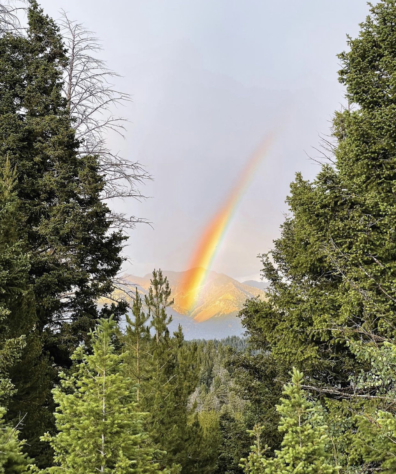 Wonderboi OnlyFans header