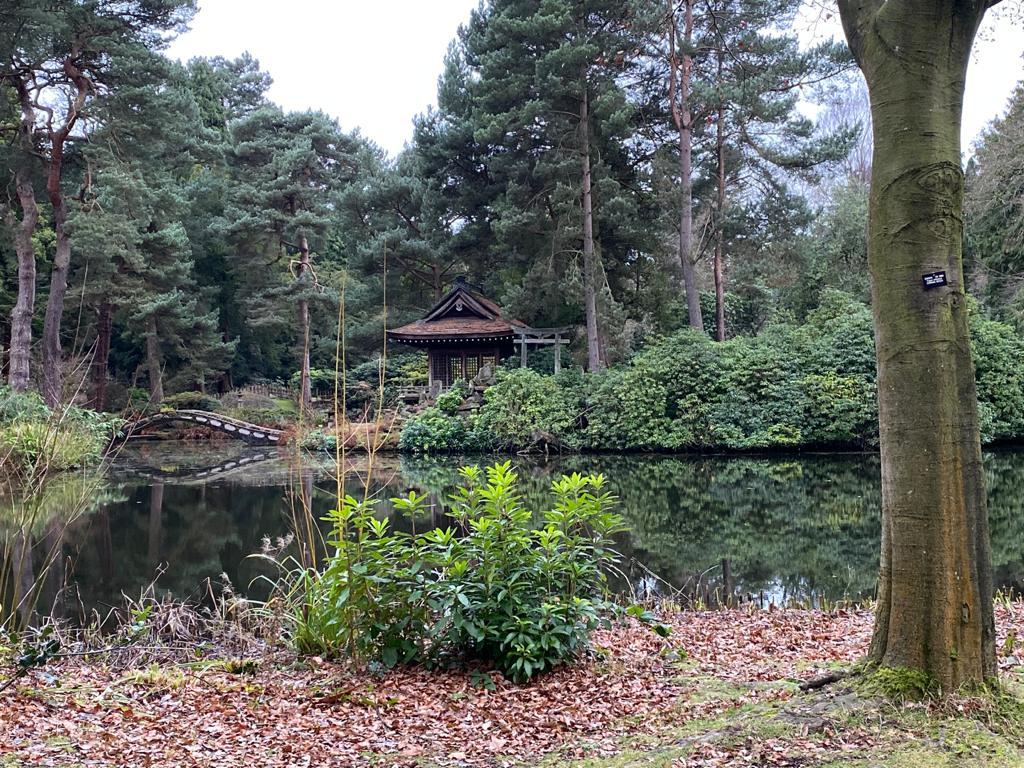 Forest Green OnlyFans header