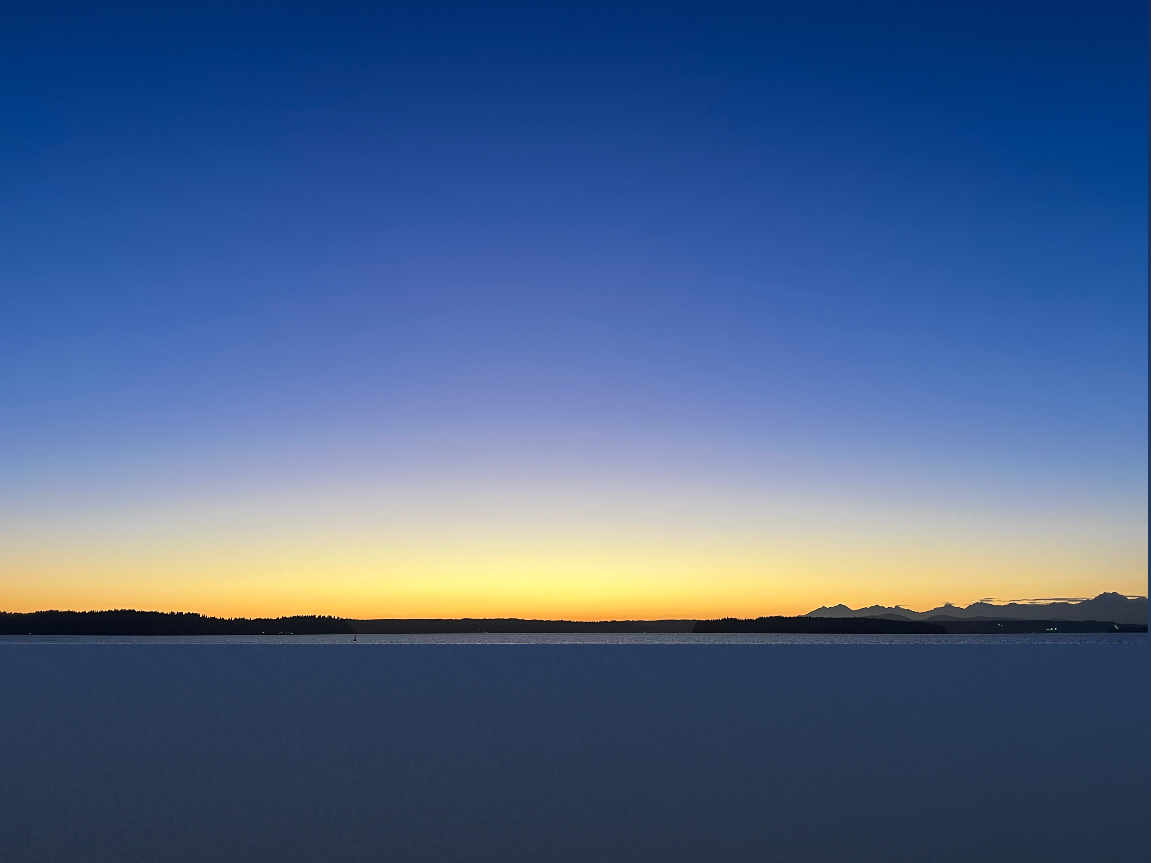 🌲🌲 OnlyFans header