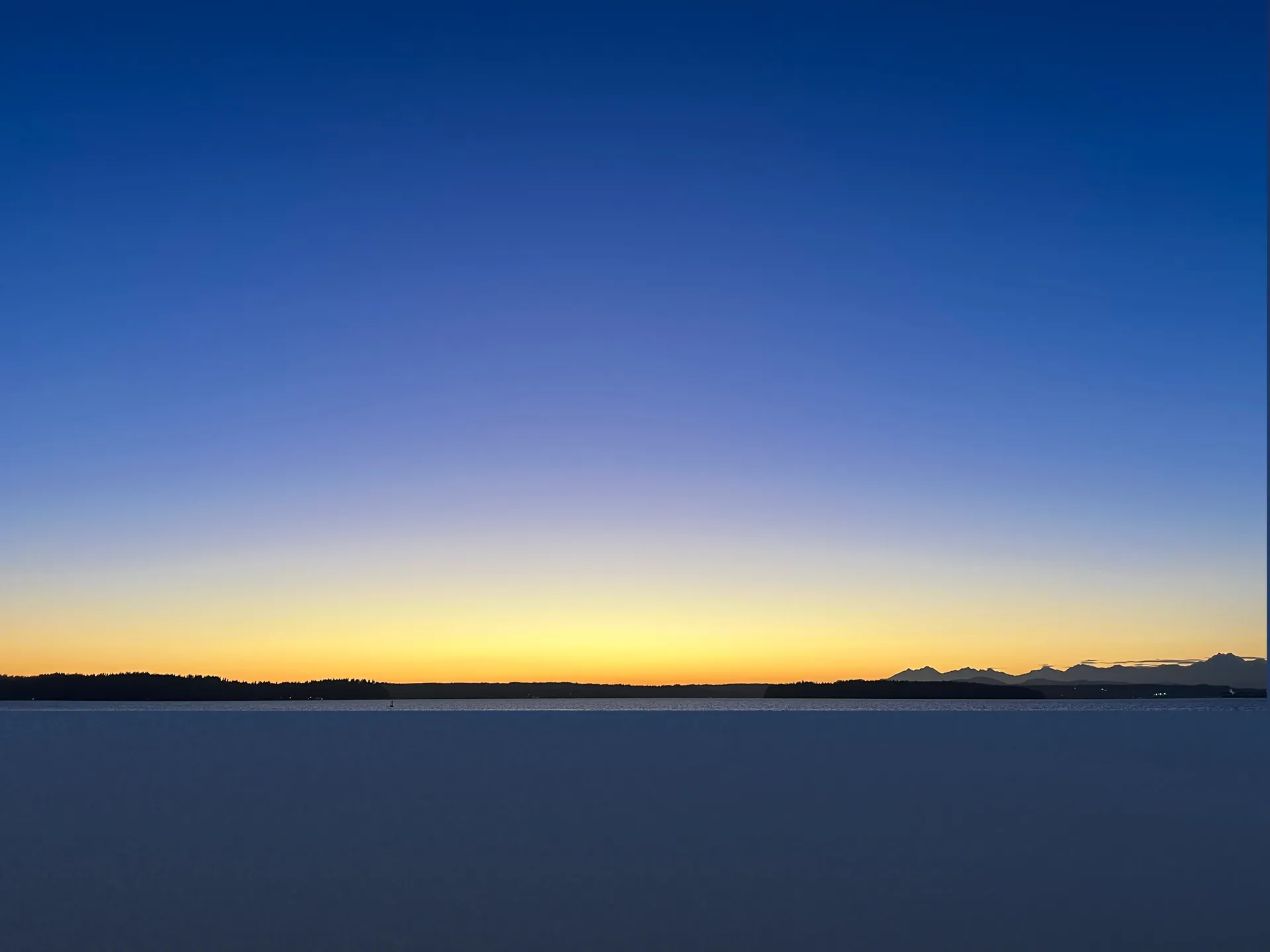 🌲🌲 OnlyFans header