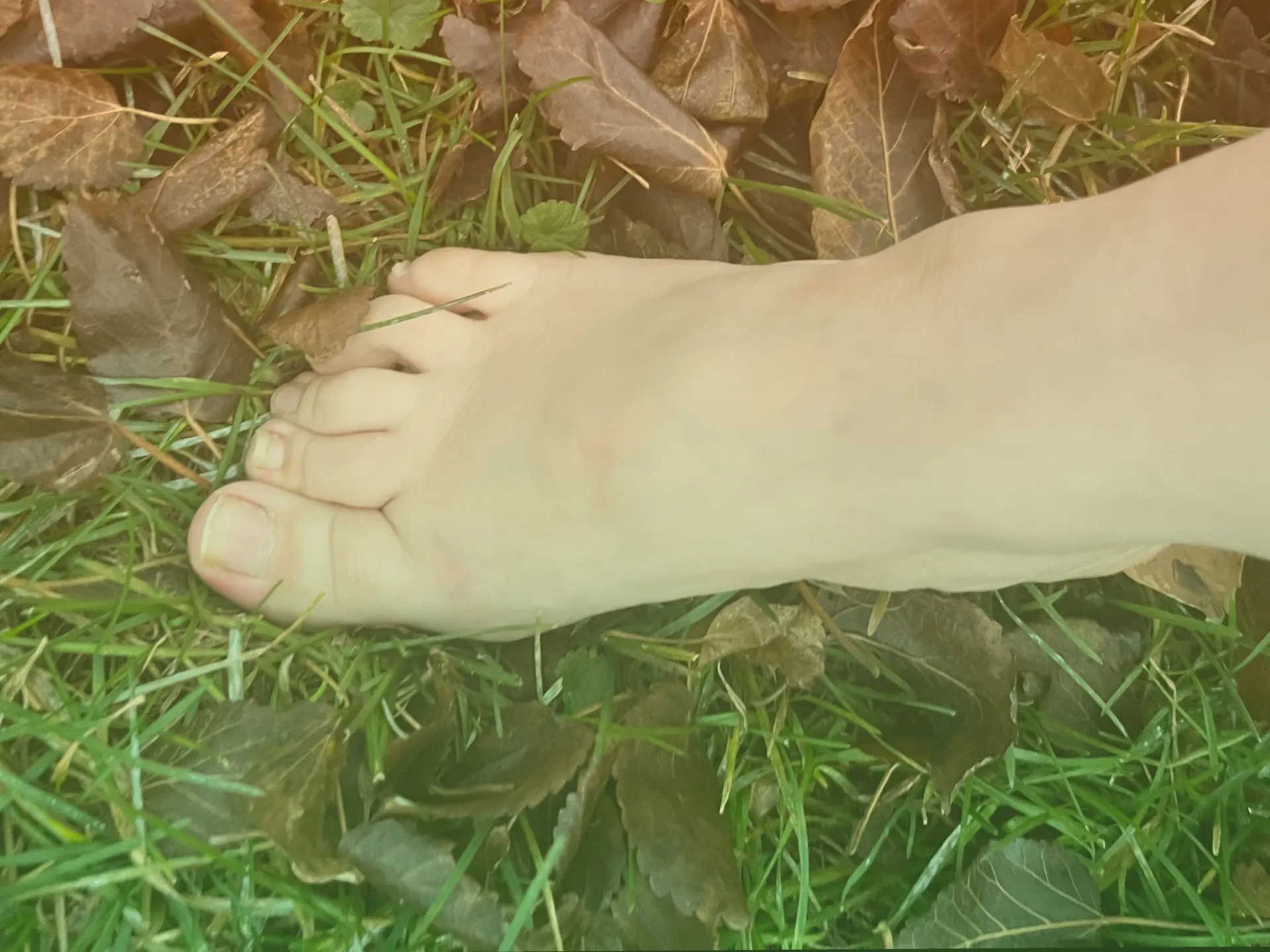 ForestElf OnlyFans header