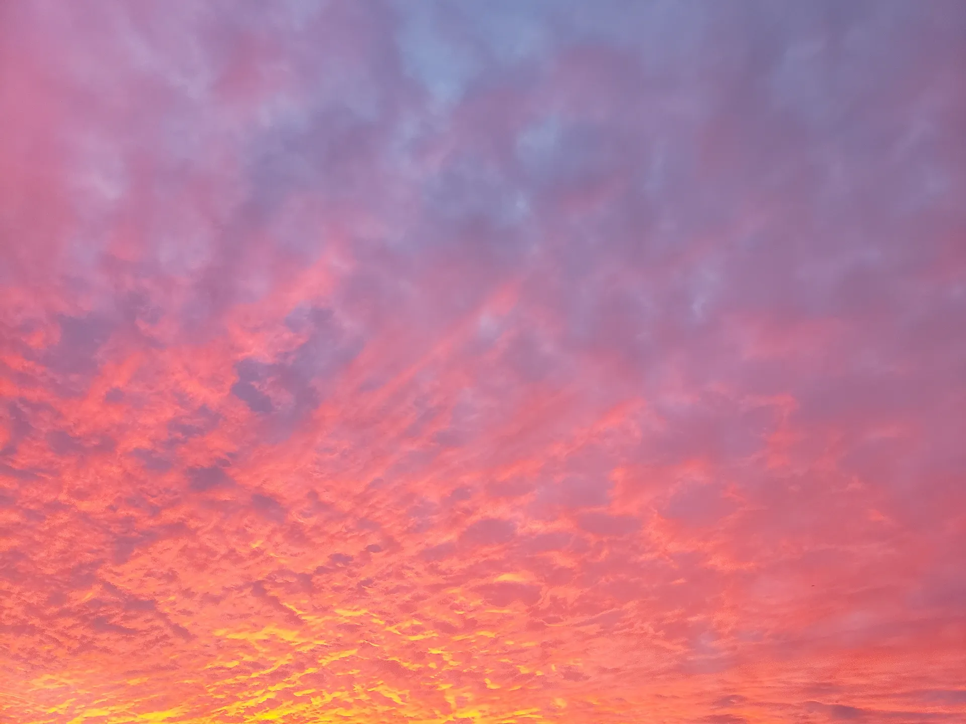 Faerie Jam OnlyFans header