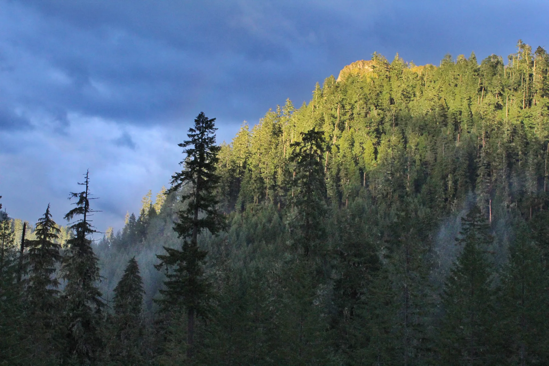 Christopher OnlyFans header