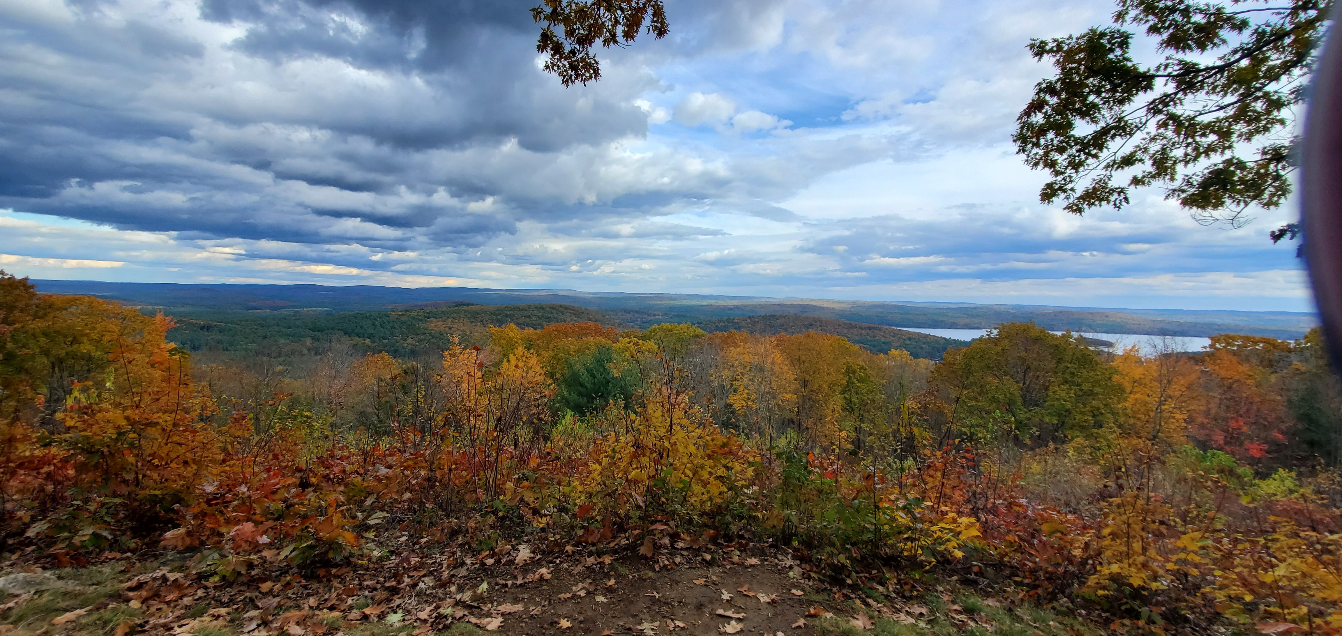 🦋Forest Nymph Dahlia Ember 🌕 OnlyFans header