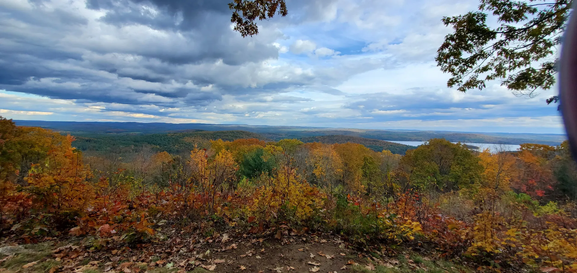 🦋Forest Nymph Dahlia Ember 🌕 OnlyFans header