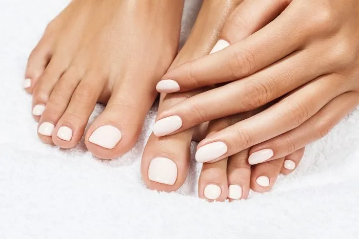 Forest Roxaine OnlyFans header