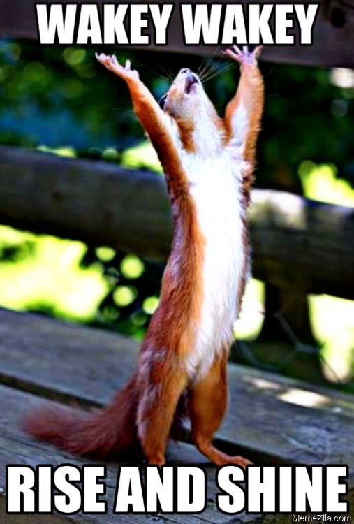 Forest Second OnlyFans header