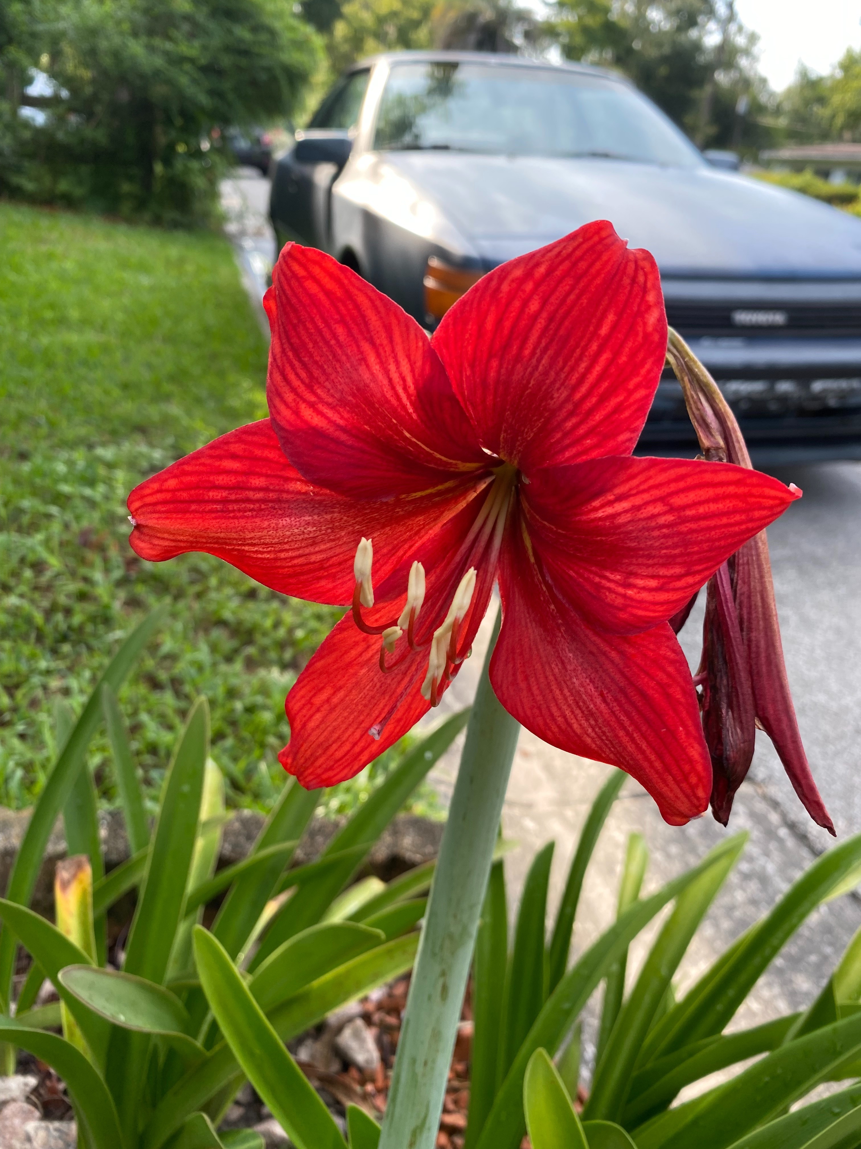 Bre &amp; Maddy OnlyFans header