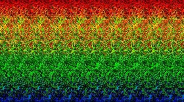 Julia OnlyFans header