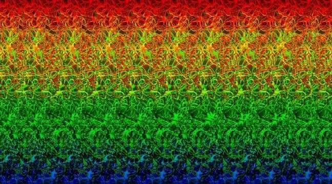 Julia OnlyFans header