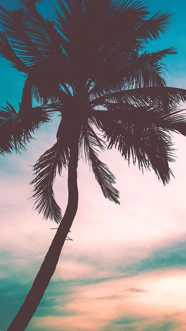 submissivekitty51 OnlyFans header