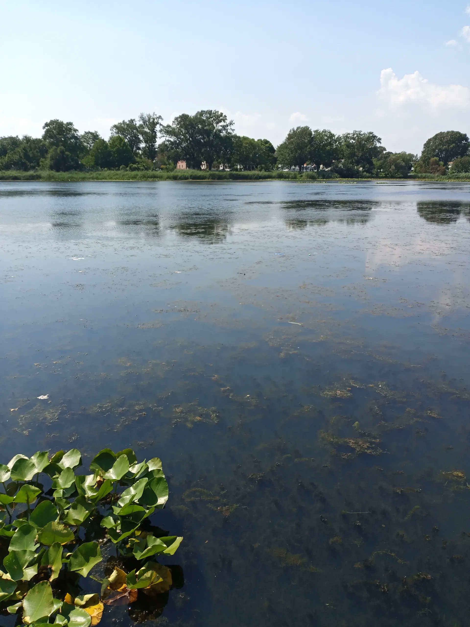 ForgedCastings OnlyFans header