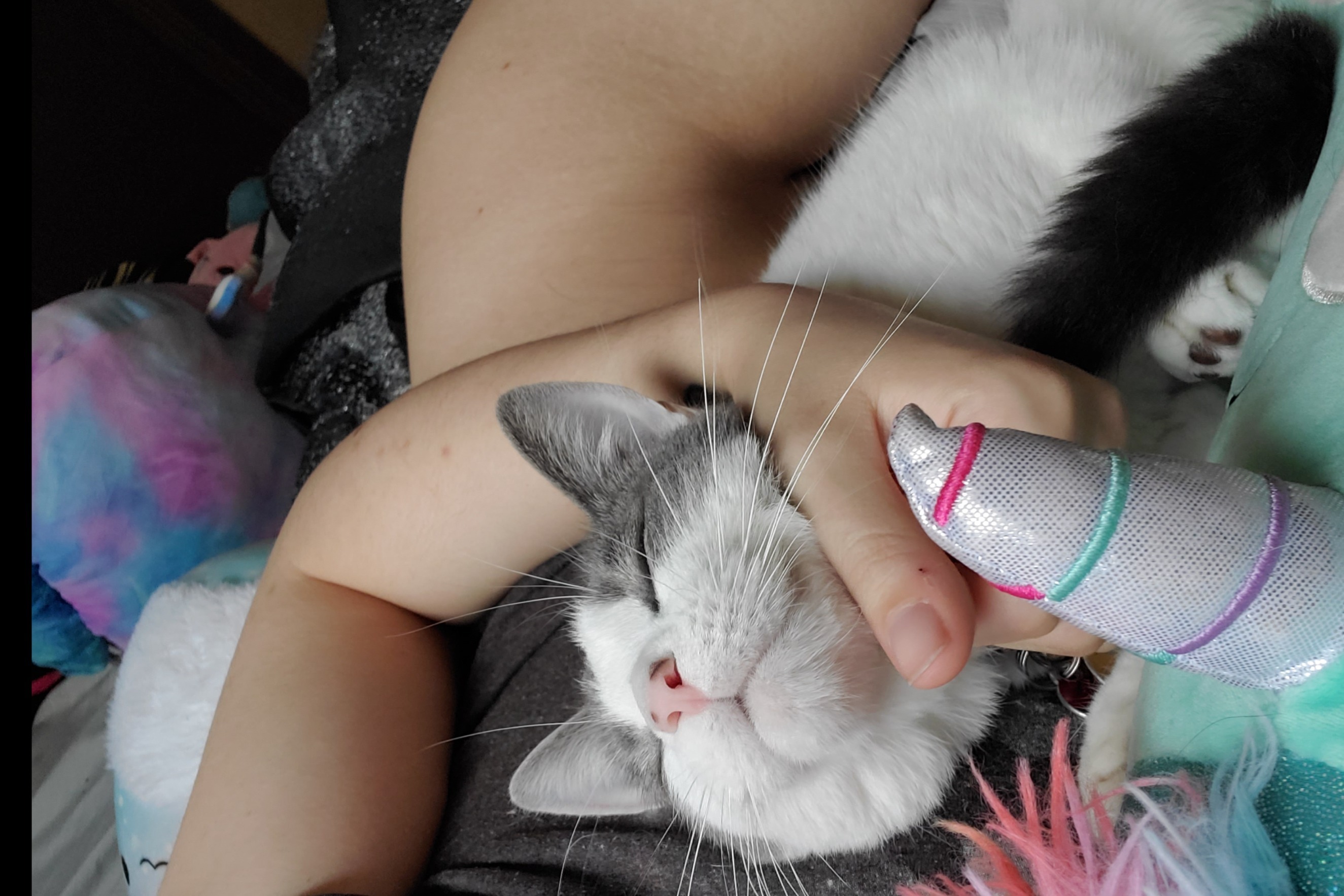 Tragic Día OnlyFans header