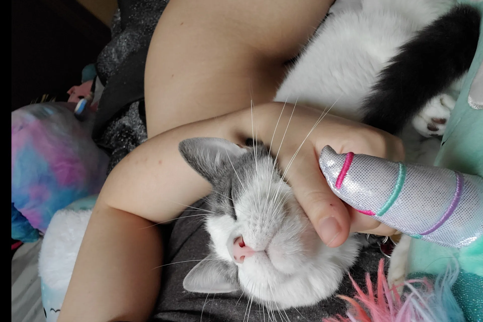 Tragic Día OnlyFans header