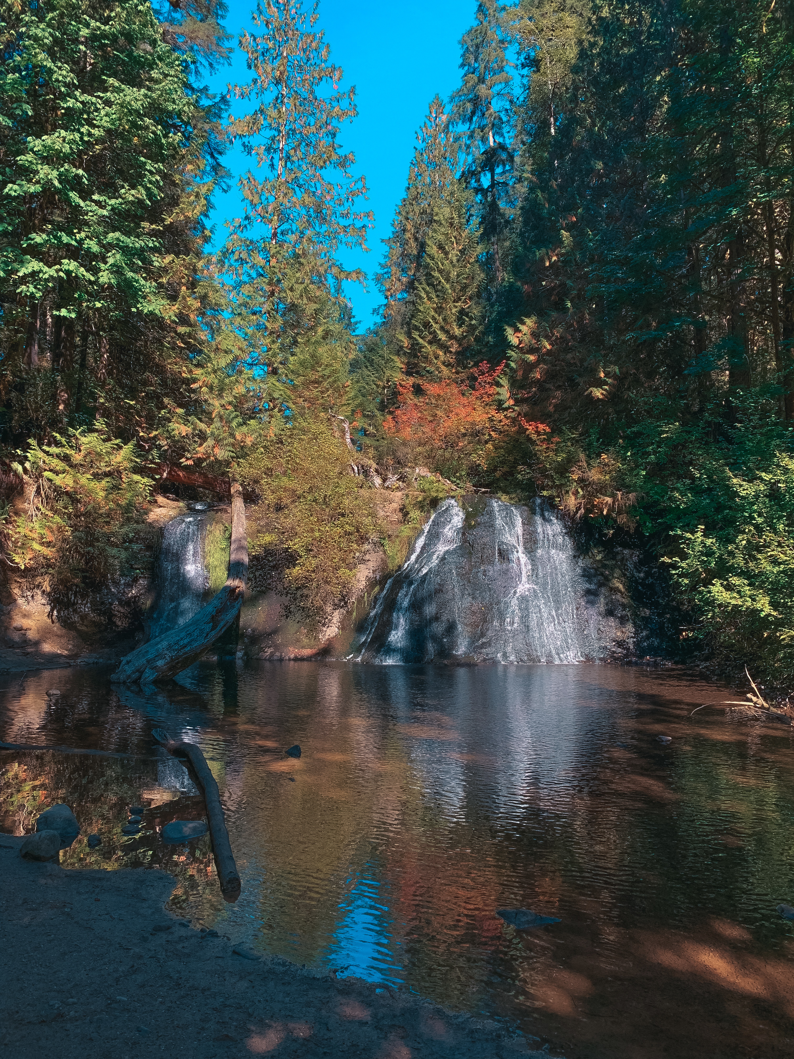 Jessica OnlyFans header