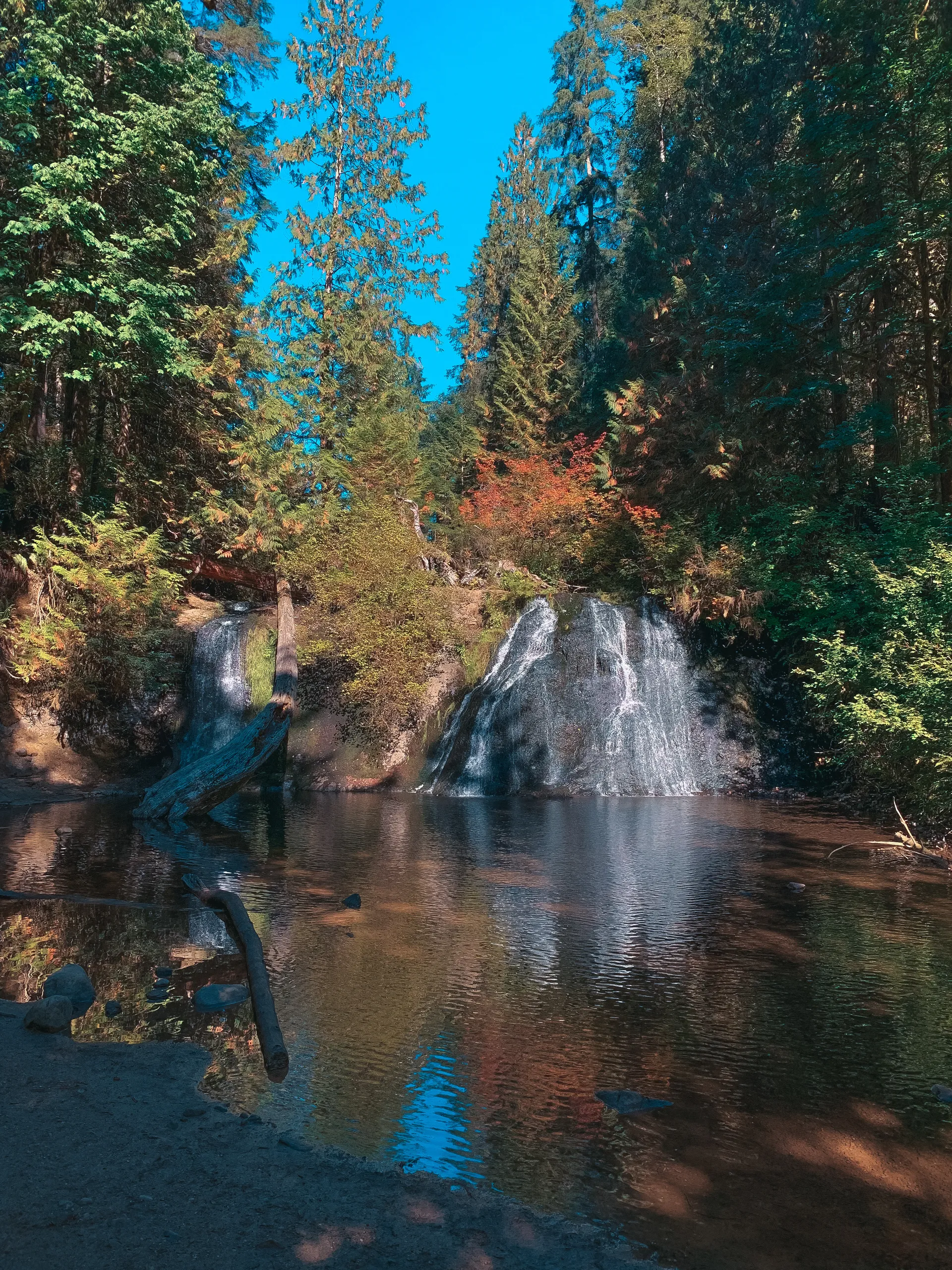 Jessica OnlyFans header