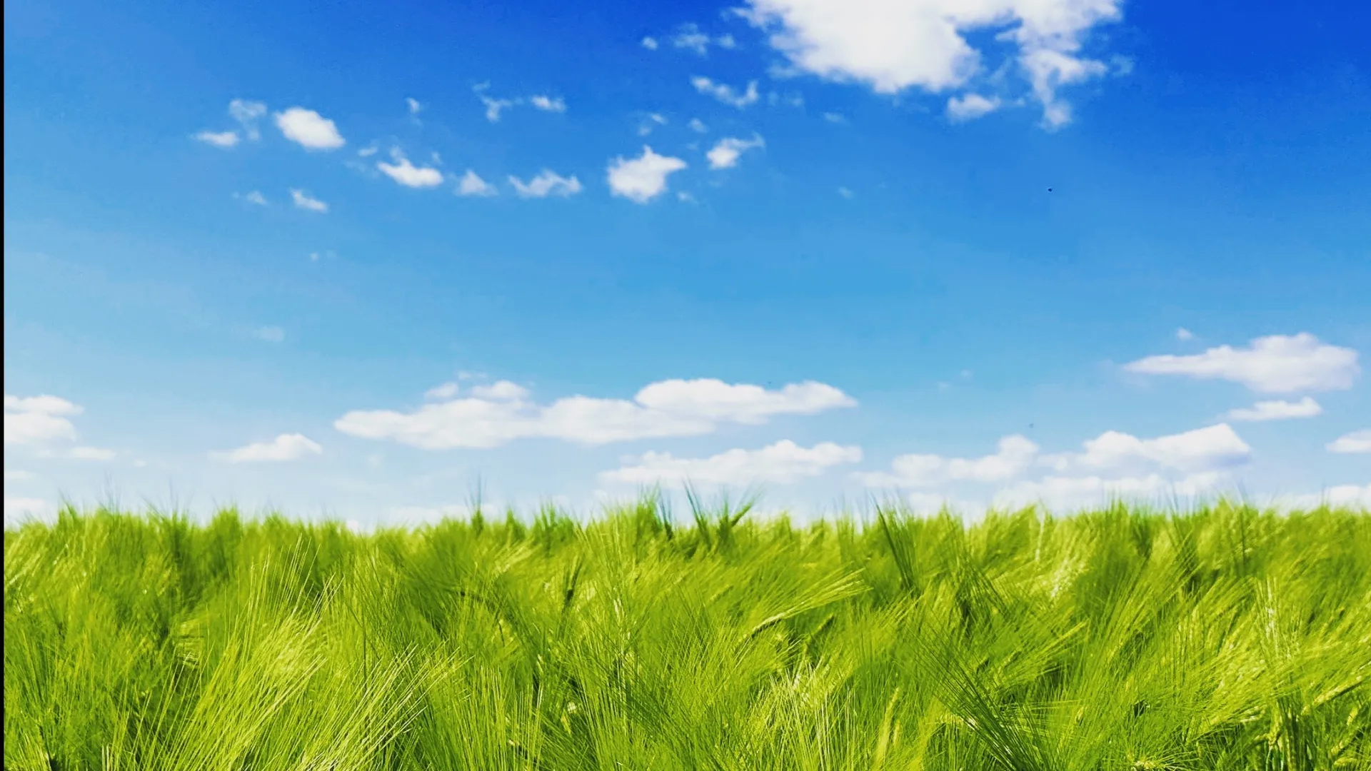 Steve Price - Videography OnlyFans header