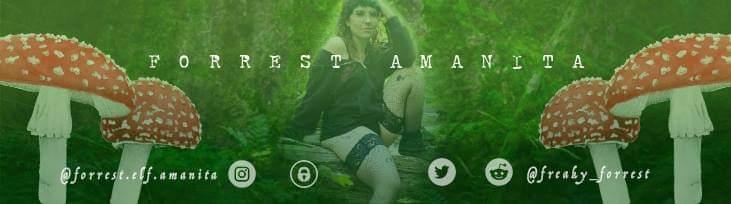 Forrest Amanita OnlyFans header