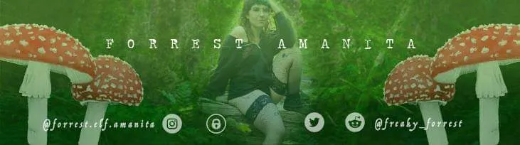 Forrest Amanita OnlyFans header