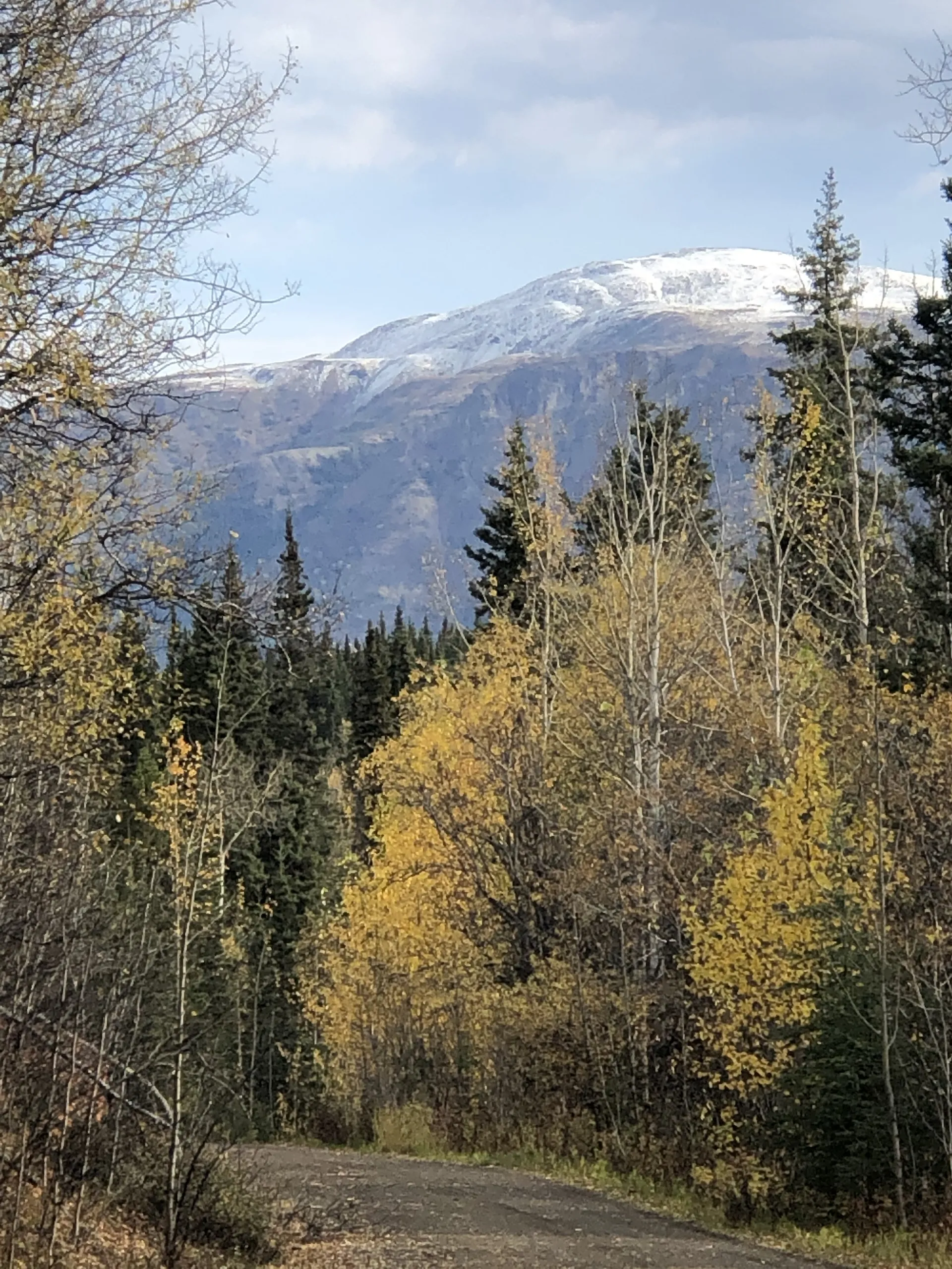 u1445786 OnlyFans header