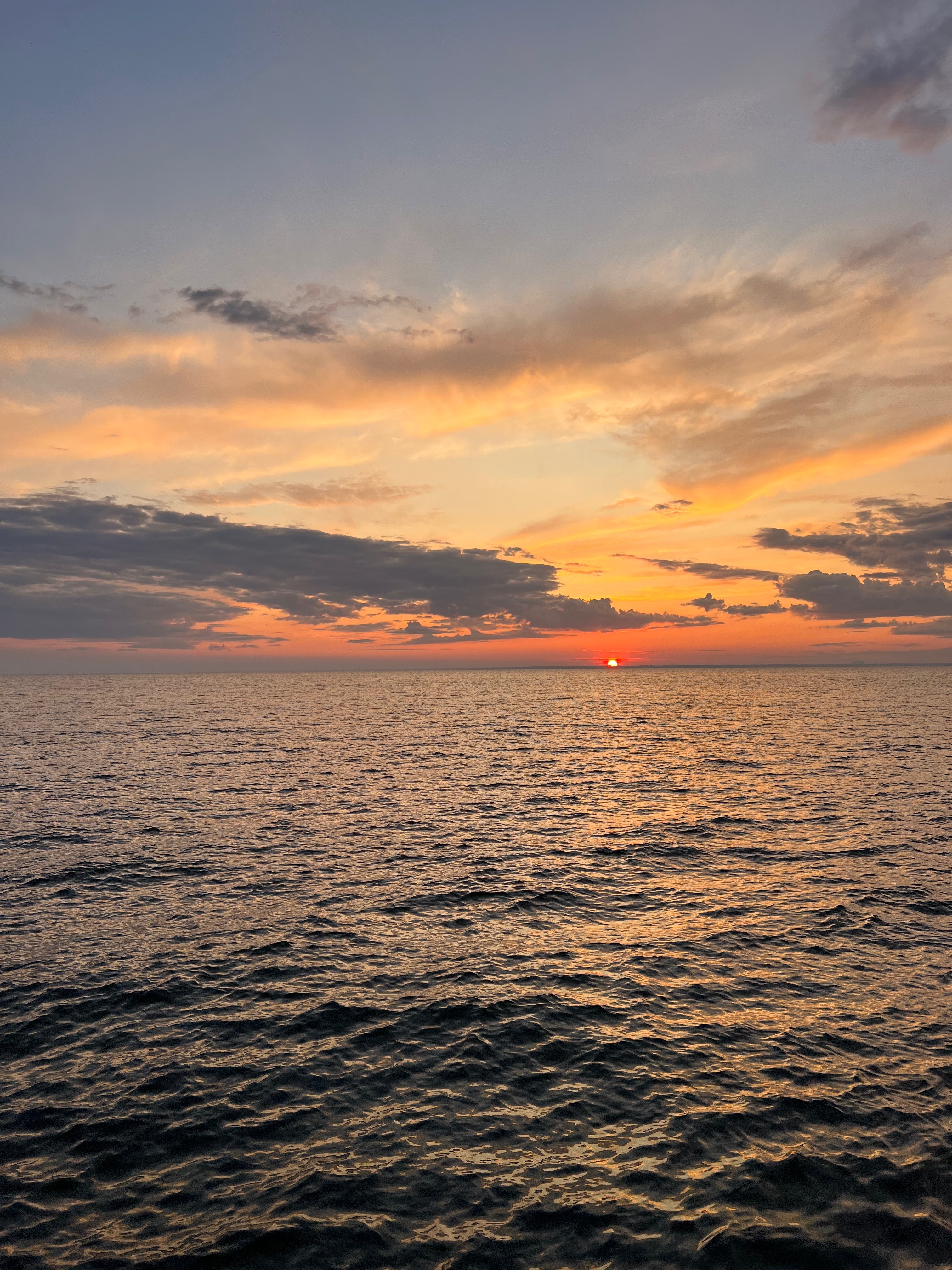 Forrister McCain OnlyFans header