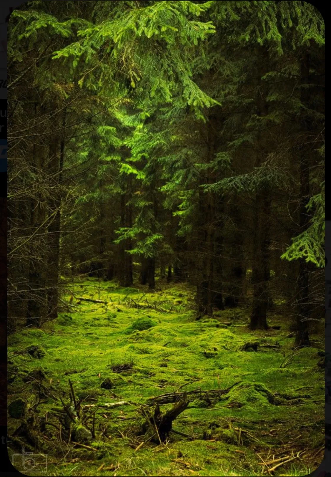 AJ ✨HE/THEY✨💦 OnlyFans header