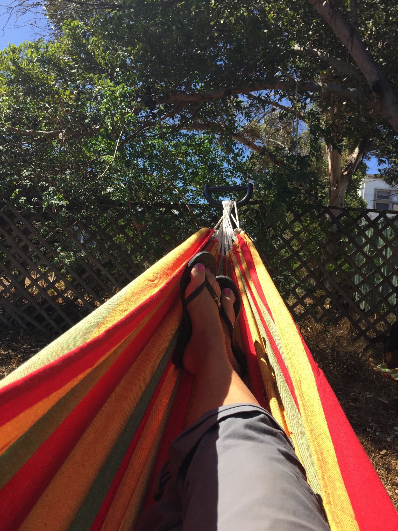 Nicole OnlyFans header