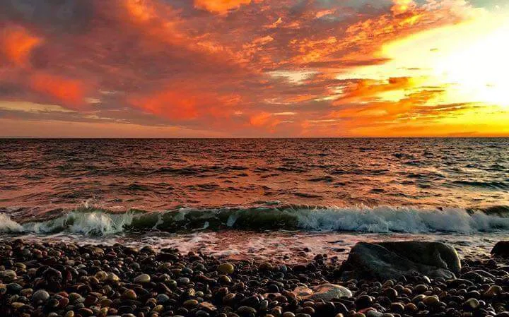 For the love of nudes 🧡💦 OnlyFans header