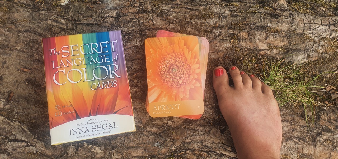 Fortune Telling Feet OnlyFans header