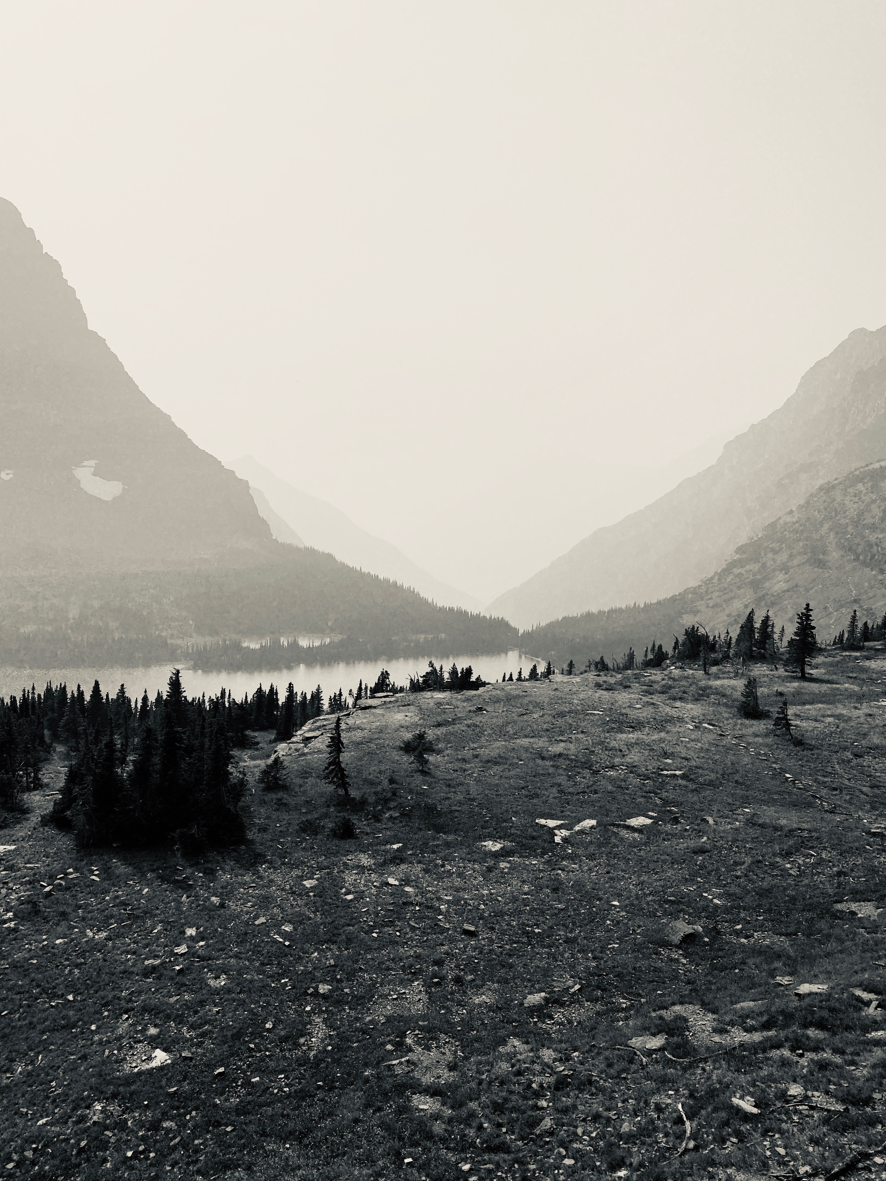 Allie Q 💎 V.I.P. 💎 OnlyFans header