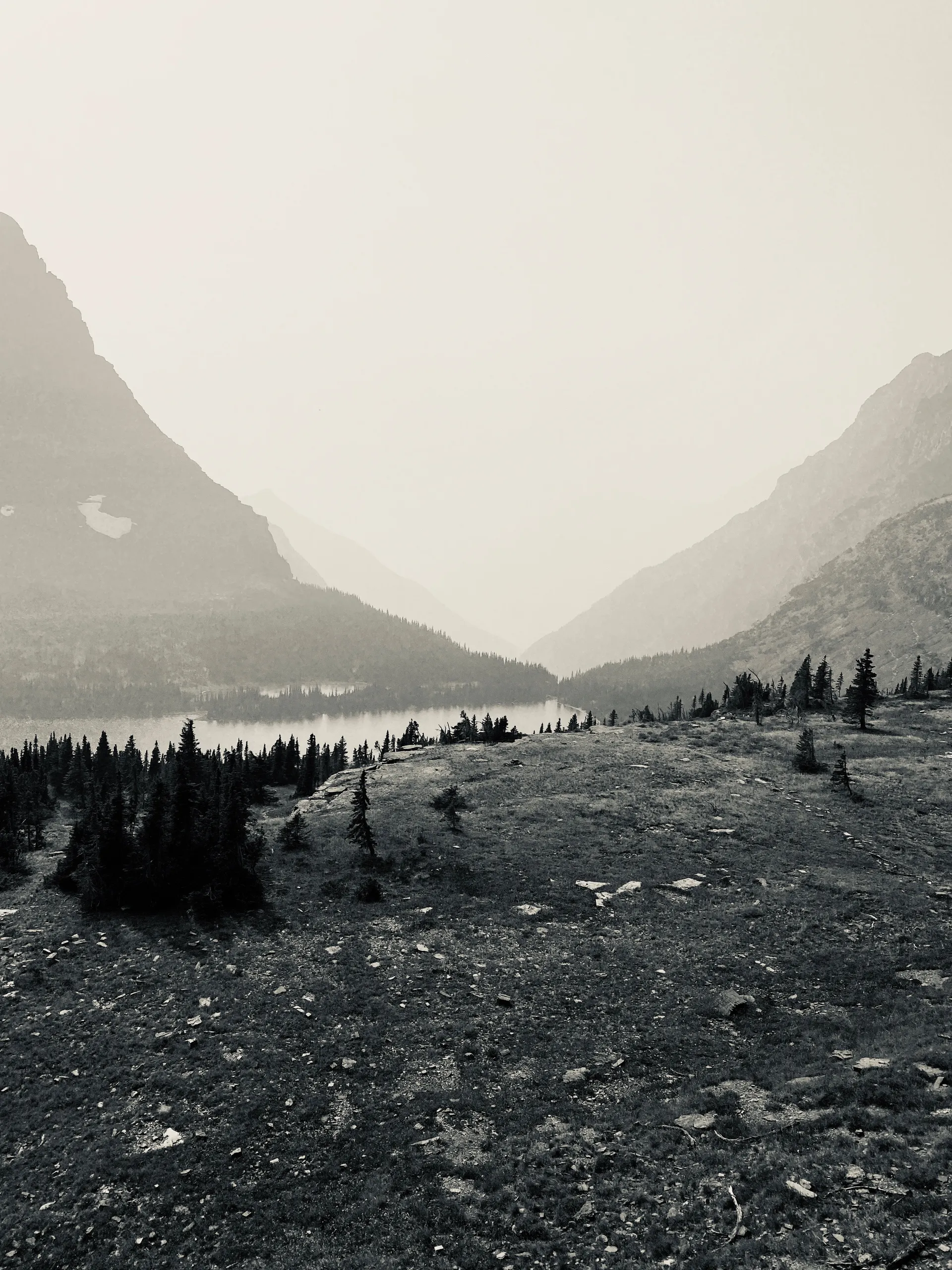 Allie Q 💎 V.I.P. 💎 OnlyFans header