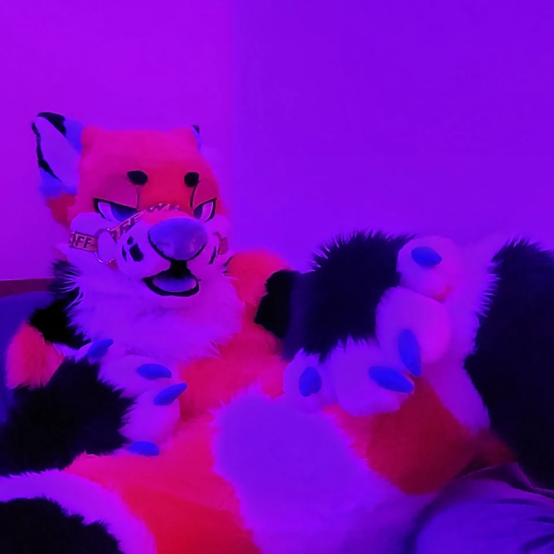 Fospherfox OnlyFans header