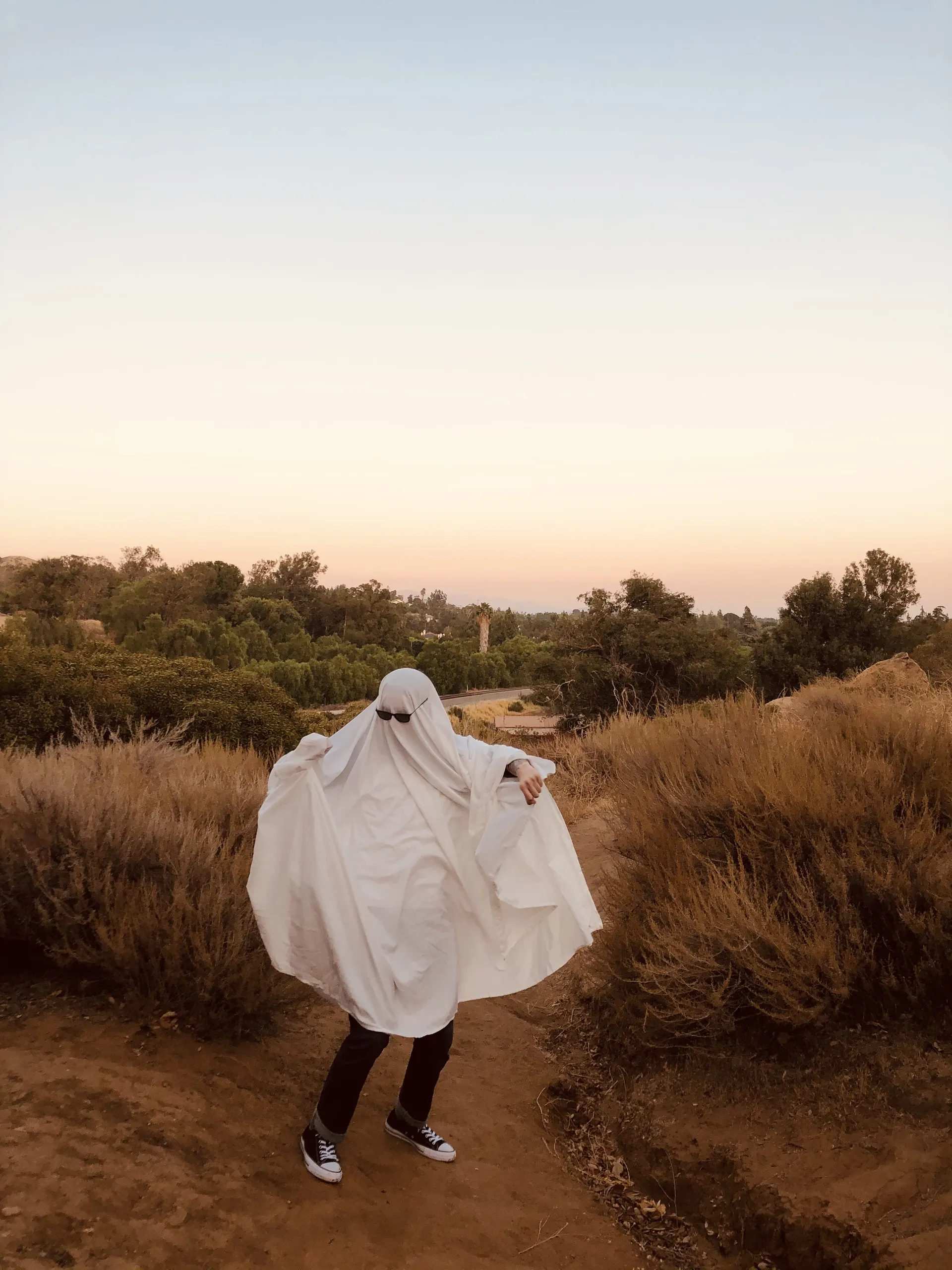 Foster OnlyFans header