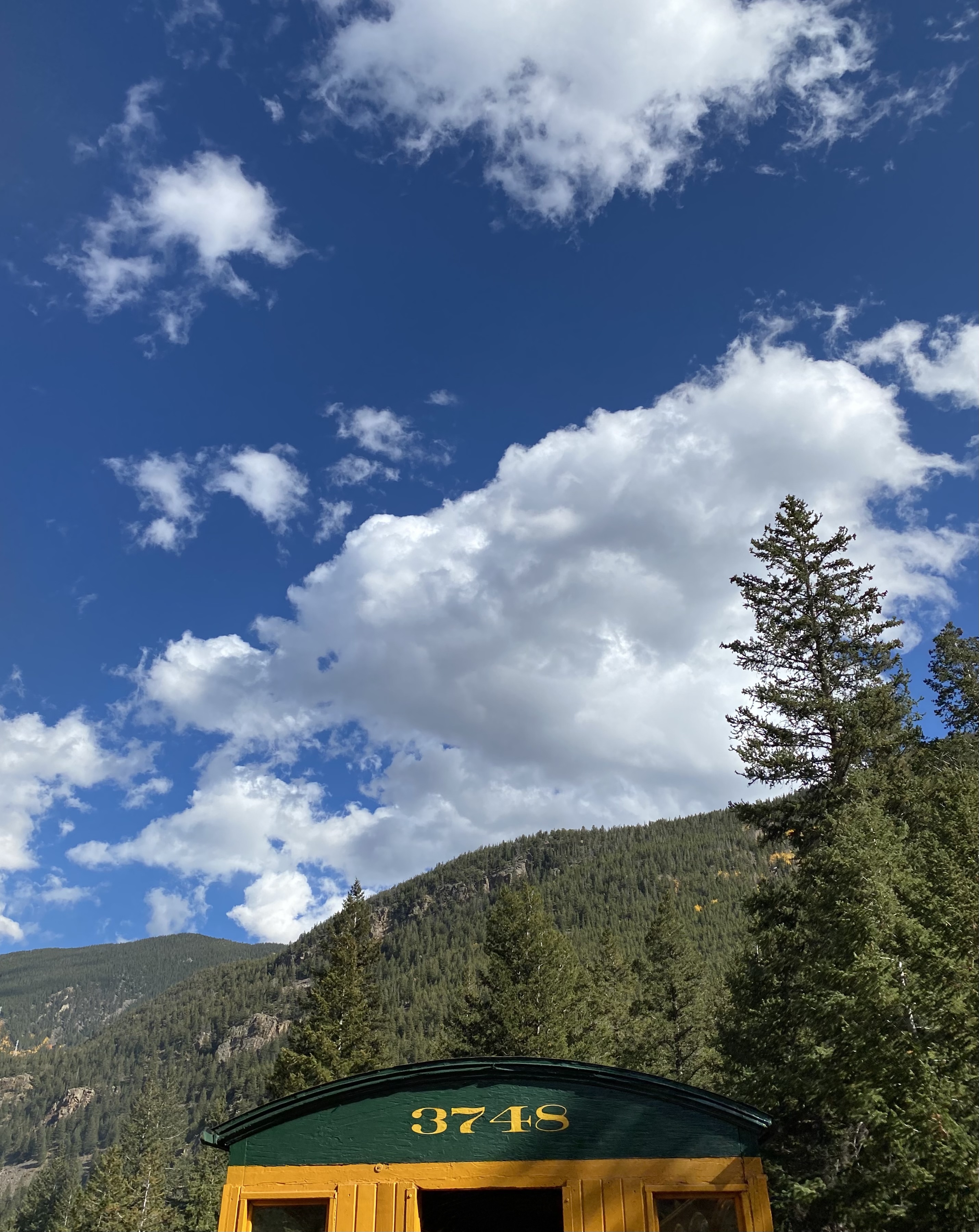 Foster OnlyFans header