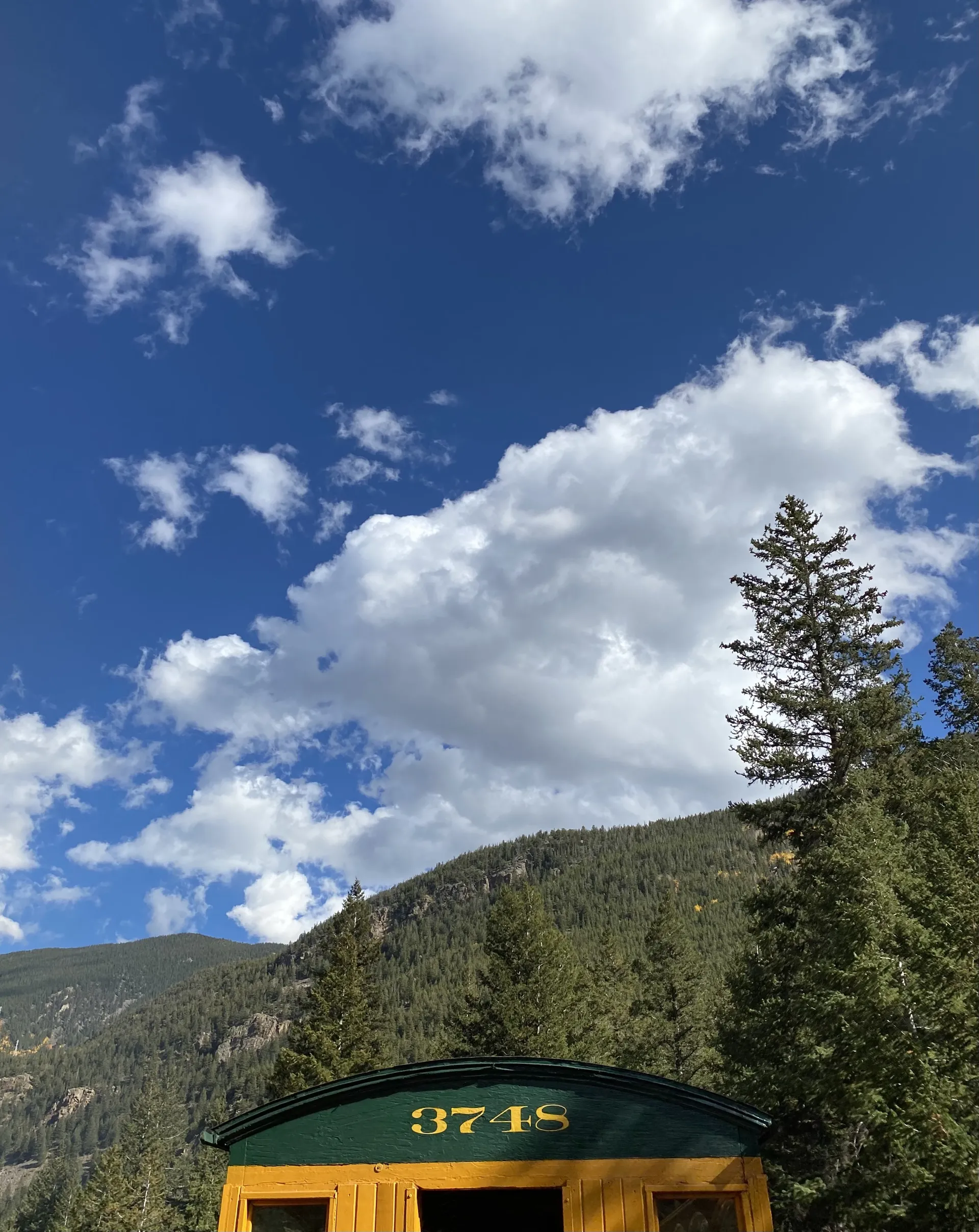 Foster OnlyFans header