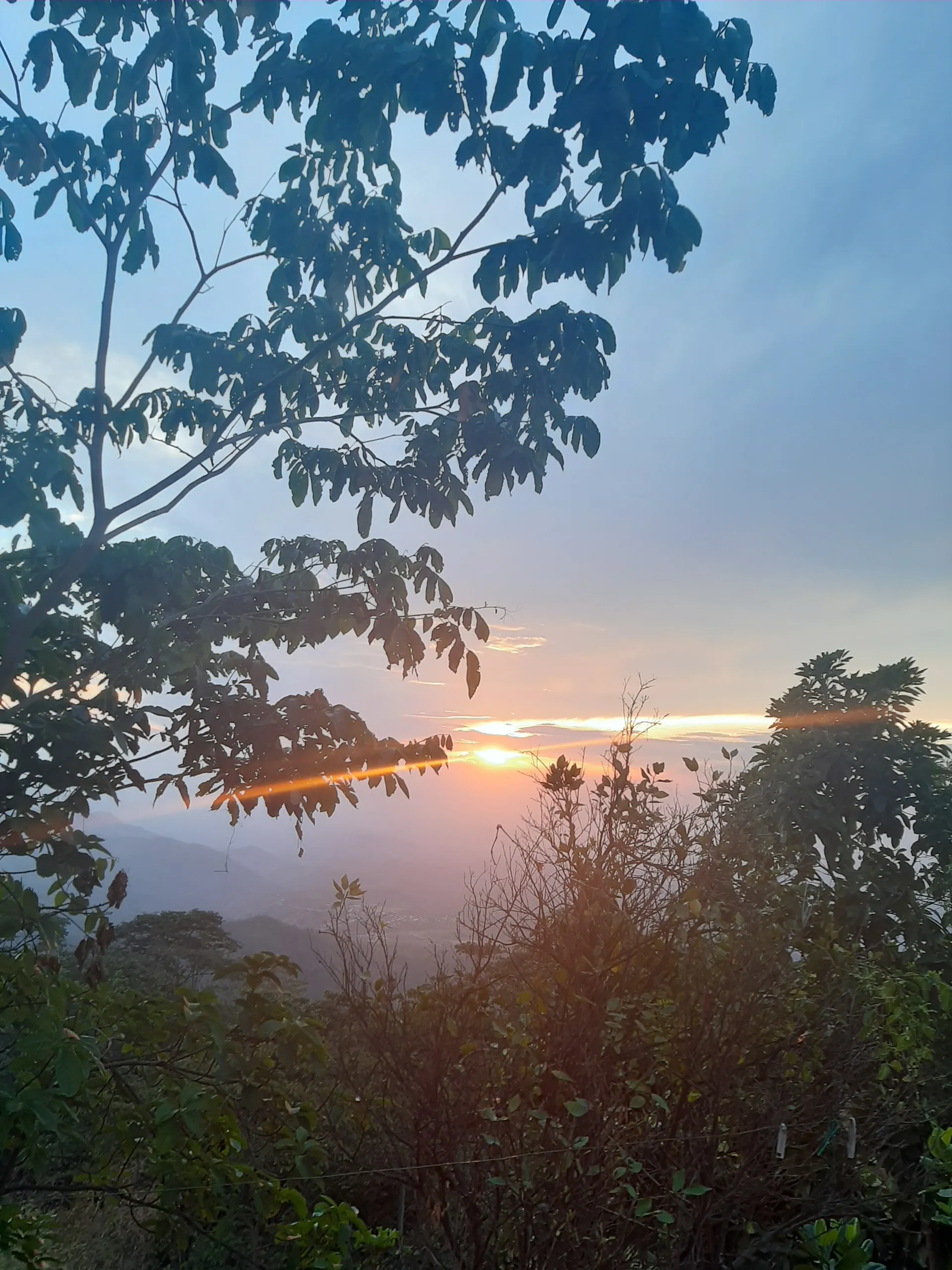 Shirleyperez OnlyFans header