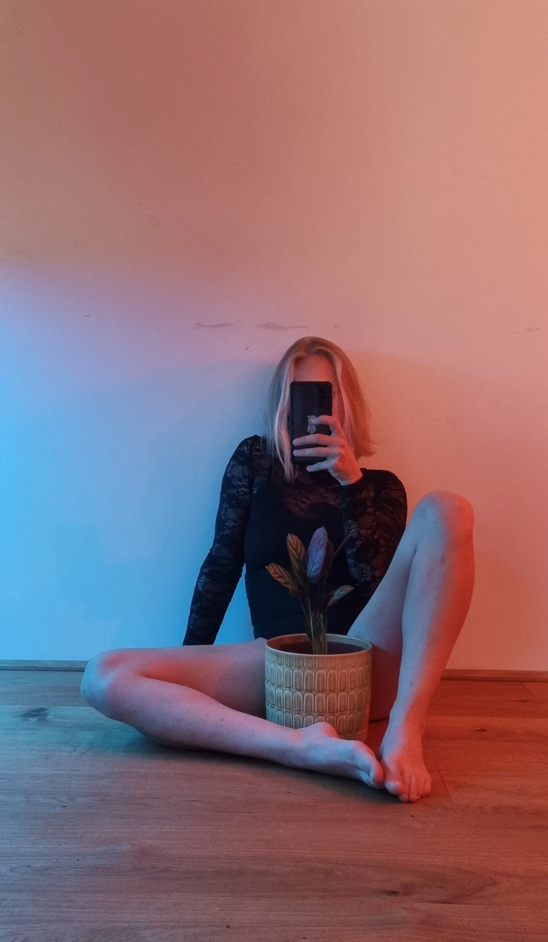 foto synthese x 😉