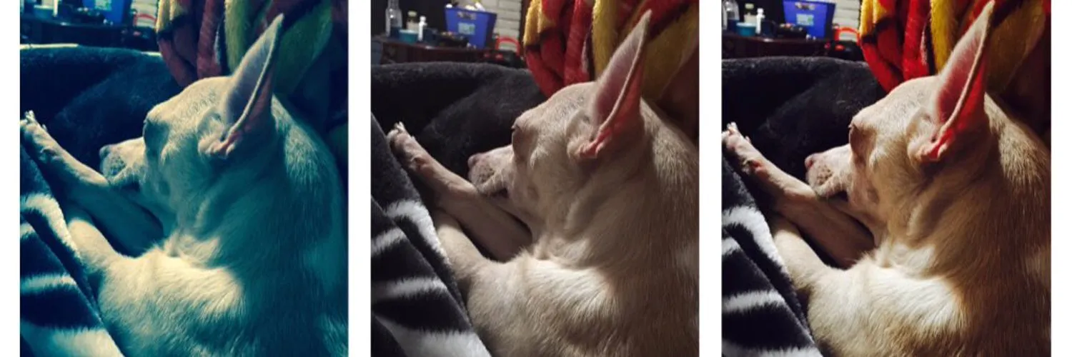 Karma OnlyFans header