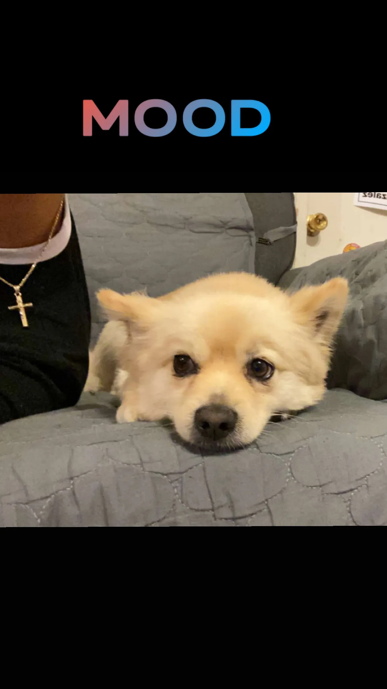 Legendary OnlyFans header