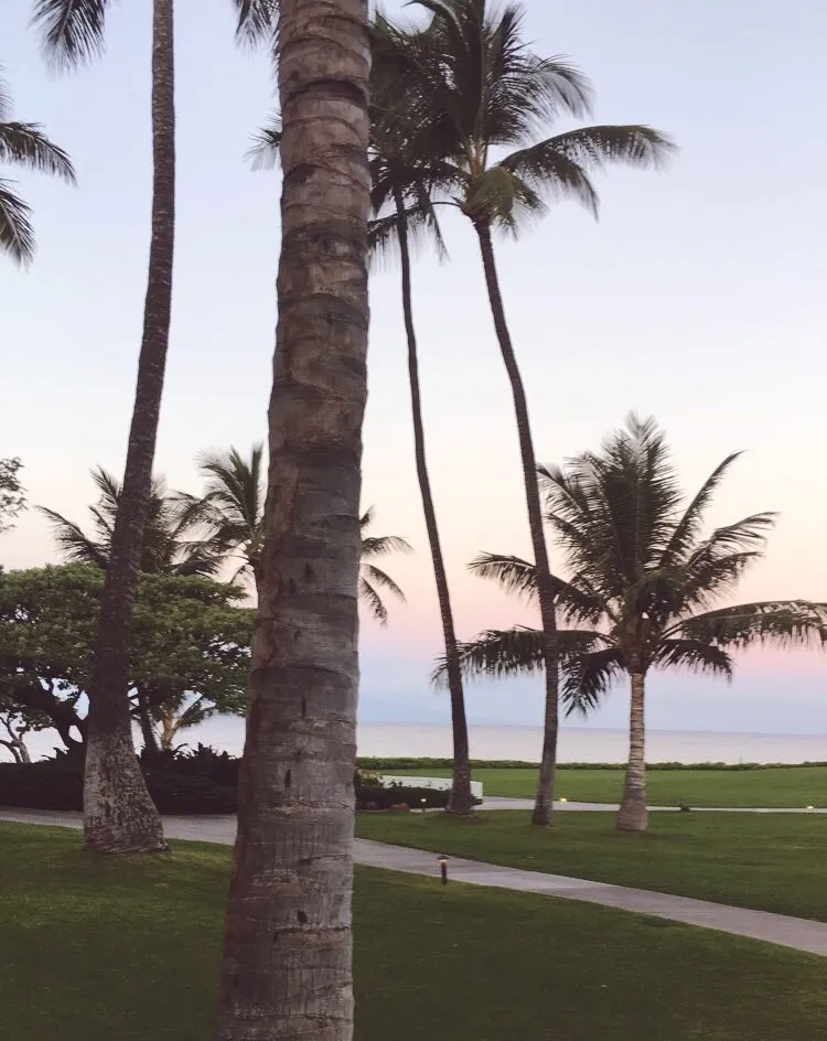 Clover OnlyFans header