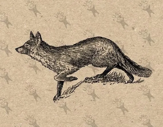 Fox Guy OnlyFans header