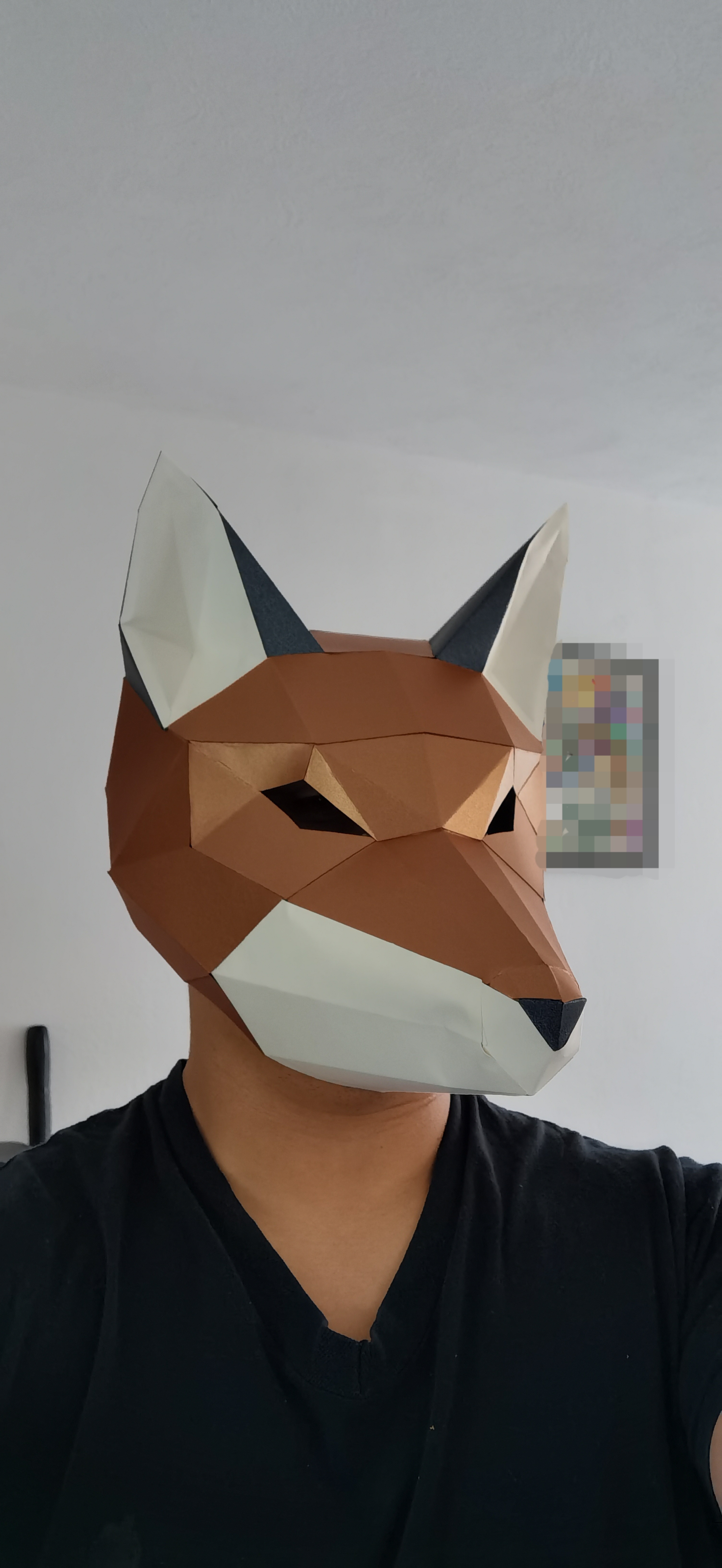 Fox_1_Inu OnlyFans header