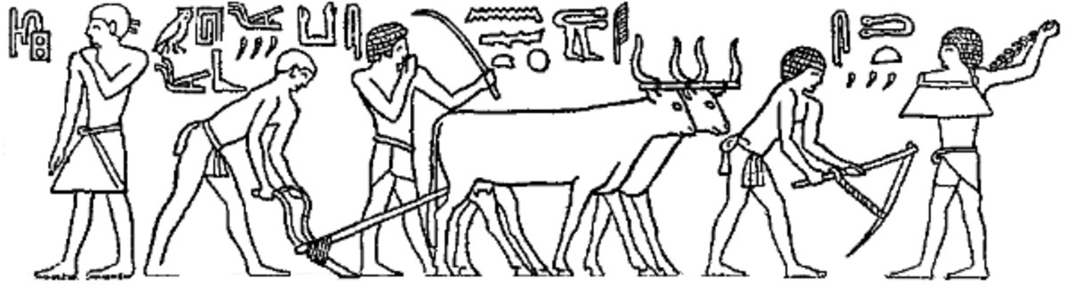 Andromeda OnlyFans header