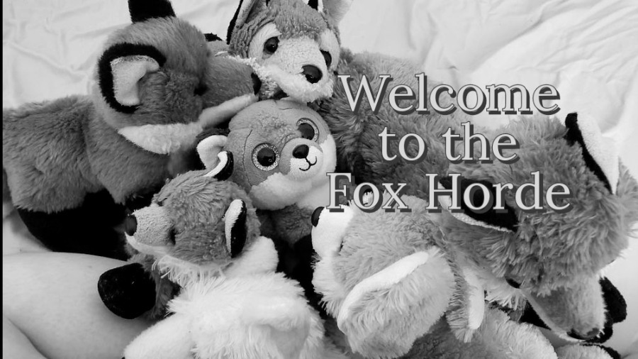 Beanie Baby OnlyFans header