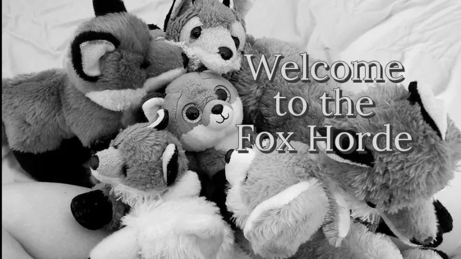 Beanie Baby OnlyFans header